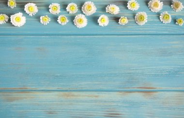 Tebrik kartı için çerçeve. Çiçek, Hediyelik ve copywriting için yer ile bir başlık için arka plan. Şablon afiş tasarım için çiçek ile. Çiçek afiş