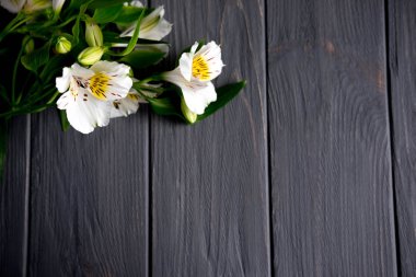 Koyu ahşap arka plan beyaz çiçekli metin afiş için arka plan. Boş, çerçeve metin için. Tebrik kartı tasarımı ile çiçekler. Aalstroemeria ahşap arka plan üzerinde. Yukarıdan görüntülemek