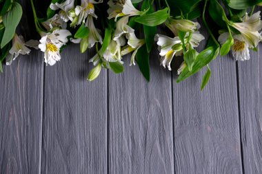 Koyu ahşap arka plan beyaz çiçekli metin afiş için arka plan. Boş, çerçeve metin için. Tebrik kartı tasarımı ile çiçekler. Aalstroemeria ahşap arka plan üzerinde. Yukarıdan görüntülemek