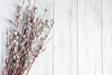 Willow tomurcukları ile twigs. Söğüt dalları metinle tebrik kartı için çerçeve. Bahar banner tasarımı