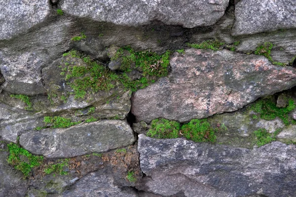 Textura de pedra com musgo para design. Foto de parede de pedra cinza com musgo para banner e design. Texturas para desenhos — Fotografia de Stock