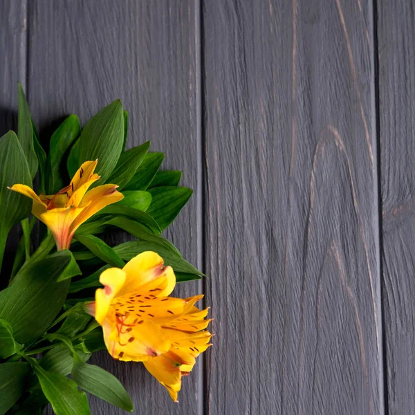 Background for text banner on a dark wooden background with yellow flowers. Blank, frame for text. Greeting card design with flowers. Aalstroemeria on wooden background. View from above