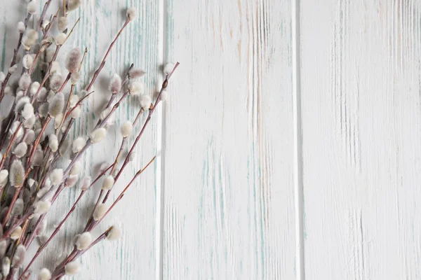 Hintergrund mit Weidenzweigen und Knospen. Frühlingsbanner mit Weidenzweigen. Glückwunsch-Hintergrund mit Weidenzweigen — Stockfoto