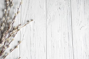 Söğüt dalları tomurcukları ile metinden için çerçeve. Doğal söğüt dalları metinden için Bahar çerçeve. Çerçeve Paskalya bahar için tebrik