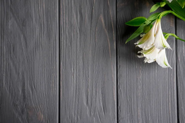 Tebrikler metinle Alstroemeria doğal çiçek ahşap zemin için çerçeve. Doğal renklerle tebrik kart tasarımı. Alstromeria ile metin için arka plan. Düz yatıyordu, en iyi görünümü.