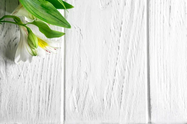 Tebrikler metinle Alstroemeria doğal çiçek ahşap zemin için çerçeve. Doğal renklerle tebrik kart tasarımı. Alstromeria ile metin için arka plan. Düz yatıyordu, en iyi görünümü.