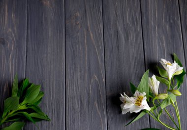 Koyu ahşap arka plan beyaz çiçekli metin afiş için arka plan. Boş, çerçeve metin için. Tebrik kartı tasarımı ile çiçekler. Aalstroemeria ahşap arka plan üzerinde. Yukarıdan görüntülemek