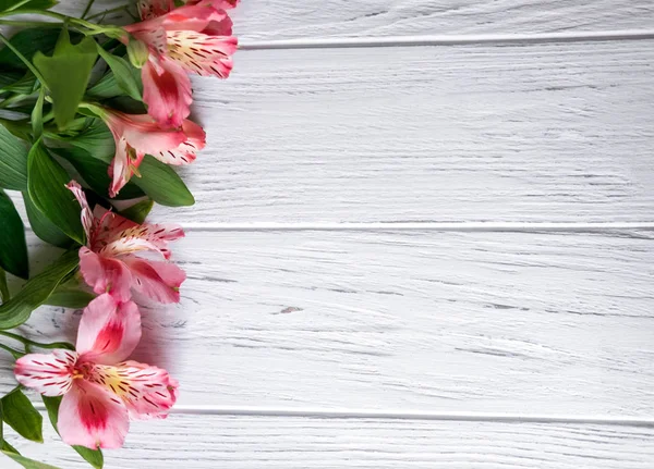 Φόντο για πανό κειμένου σε ανοιχτόχρωμο ξύλινο φόντο με ροζ λουλούδια. Κενό, πλαίσιο για κείμενο. Σχεδίαση ευχετήριων καρτών με λουλούδια. ' Χαστροεμέρια σε ξύλινο φόντο. Θέα από πάνω — Φωτογραφία Αρχείου