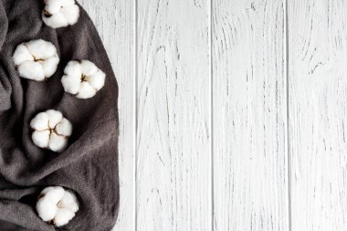 Beyaz ahşap arka plan üzerinde pamuk çiçekleri ile bir tebrik kartı için Çerçeve. Kurutulmuş çiçekler ile tasarım afiş. Pamuk ve fotokopi alanı ile çiçek arka plan.