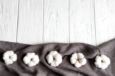 Beyaz ahşap arka plan üzerinde pamuk çiçekleri ile bir tebrik kartı için Çerçeve. Kurutulmuş çiçekler ile tasarım afiş. Pamuk ve fotokopi alanı ile çiçek arka plan.