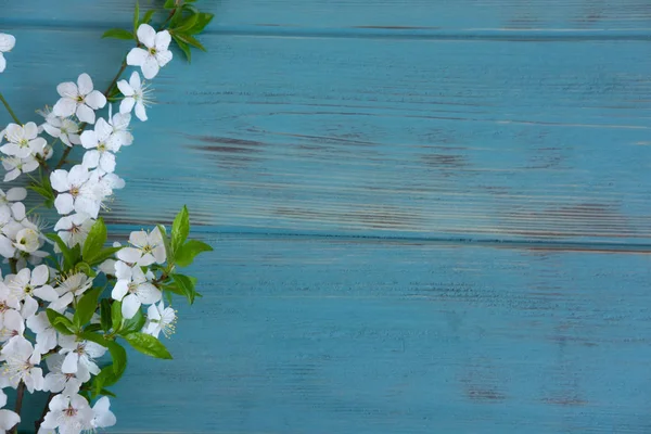 Flores de primavera de cereja em um contexto de madeira com um lugar de uma inscrição. Design para cartão de saudação com flores de cereja. Modelo, em branco para banner primavera, post do blog com flores de primavera . — Fotografia de Stock