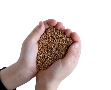 Bir çocuğun elinde karabuğday izole edin. Sağlıklı yiyecekler. Vitamin ve mineralli karabuğday. Bir çocuk için sağlıklı gıda