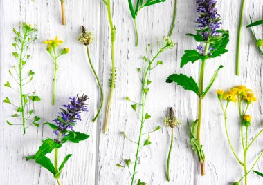 Beyaz ahşap arka plan üzerinde yabani çiçek desen. Beyaz bir arka plan üzerinde Leylak doğal kurutulmuş çiçekler. Çiçek deseni