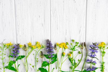 Kır çiçeklerinin arka planı. Doğal renklere sahip bir afiş için arka plan. Copyspeis Çiçekli Afiş. Çiçek arka plan. Beyaz ahşap arka plan üzerine çiçekler.