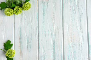 Bir tebrik yazımı için alan ile açık bir arka plan üzerinde güzel sarı yeşil çiçekler. Tebrik afişi, kartpostal için çerçeve. Düz döşeme, üst görünüm.