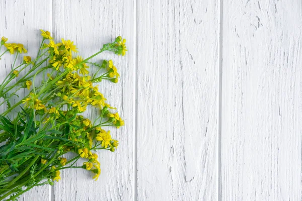 Wildblumen von gelber Farbe mit einem Platz für eine Inschrift auf hellem Holzgrund. Grußkarte mit Wildblumen. Grußbanner-Vorlage. flache Lage, Draufsicht. — Stockfoto