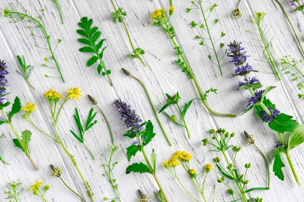 Beyaz ahşap arka plan üzerinde yabani çiçek desen. Beyaz bir arka plan üzerinde Leylak doğal kurutulmuş çiçekler. Çiçek deseni