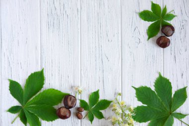 Yeşil kestane yaprakları, kestane ve çiçekler hafif ahşap arka plan üzerinde. Tebrik kartı metni için çerçeve. Bir site için Afiş tasarımı, bahar indirimleri hakkında bir mağaza. Kestaneli bahar afişi