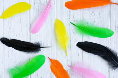 Açık arka plan üzerinde parlak renkli tüyler. Güzel tüyleri ile trendy arka plan.