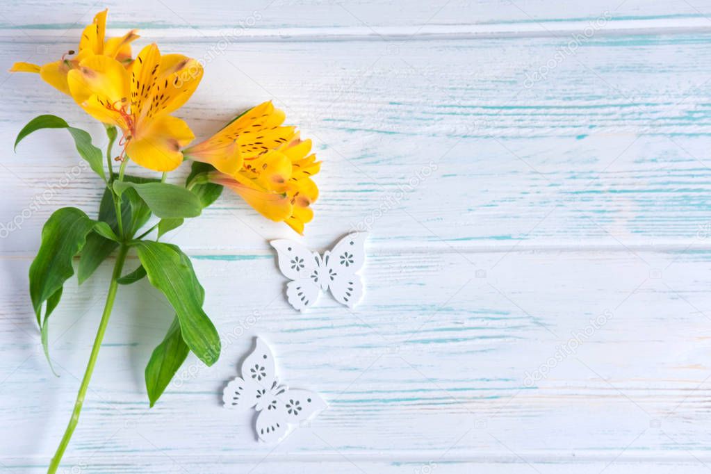 Frame for the text with natural yellow flowers of Alstroemeria on a wooden background. Design greeting card with natural colors. Background for text with alstromeria. Flat lay, top view