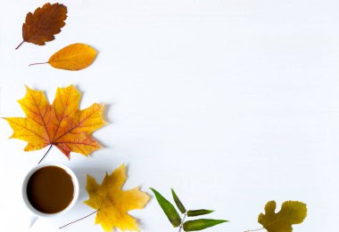 Sonbahar afişi. Sonbahar kuru yaprakları ile abelo ahşap arka plan metin için çerçeve tasarımı. Temel, doğal yaprakları ile bir afiş için arka plan. Düz yatıyordu, üstten bak. Sonbahar düz arka plan.