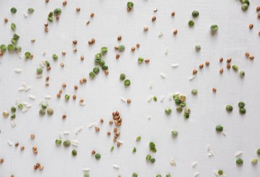 Beyaz bir arka plan üzerinde karabuğday, buğday, bezelye ve pirinç ile Desen. Gıda için lapa ile Desen