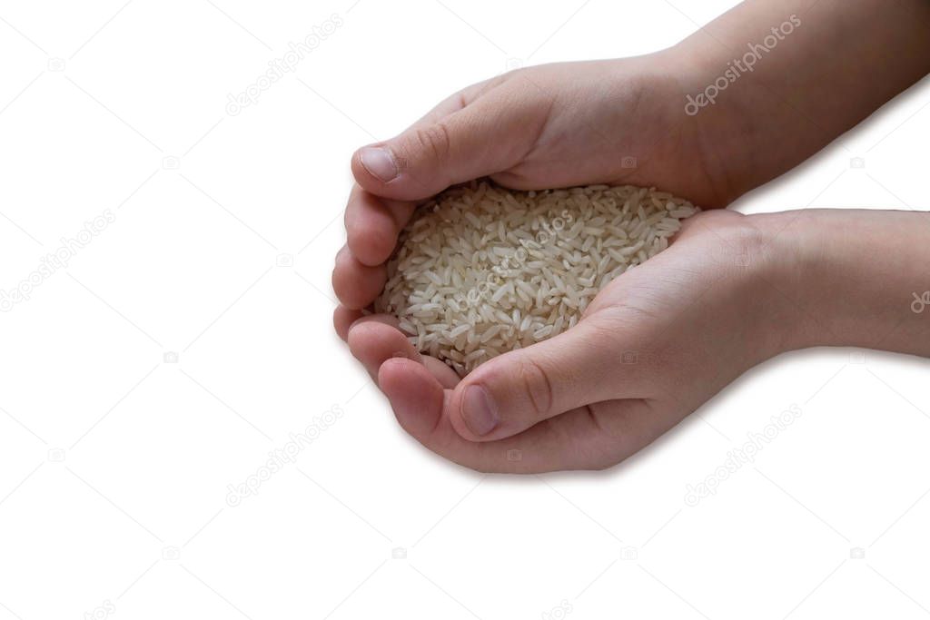 Baby hands that hold uncooked rice isolated on white background. Useful food for children. Porridge with vitamins for adults and children