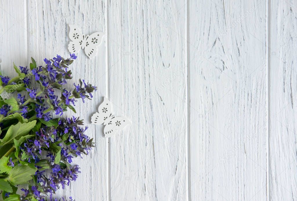 Background of wildflowers. Background for a banner with natural colors. Banner with Copyspeis Flowers. Floral background. Flowers on a white wooden background.