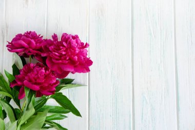 şakayık ile ckground. Pembe ve bordo şakayıklar beyaz ahşap arka plan üzerinde copywriting için alan. Çiçeklerle metin çerçeve. Şakayıklı tebrik kartı. Düz döşeme, üst görünüm.