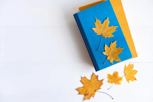 The basis for the banner back to school. Autumn frame for text with yellow leaves and books. An end to the theme of school and learning. Flat lay, top view. — Stock Photo, Image