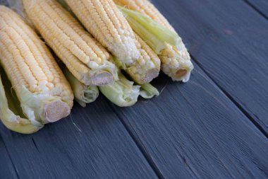 Taze mısır başları ve yazıt için bir yer ile koyu arka plan. Sebze bahçesinde, çiftlikte taze mısır hasadı. Düz döşeme, üst görünüm.