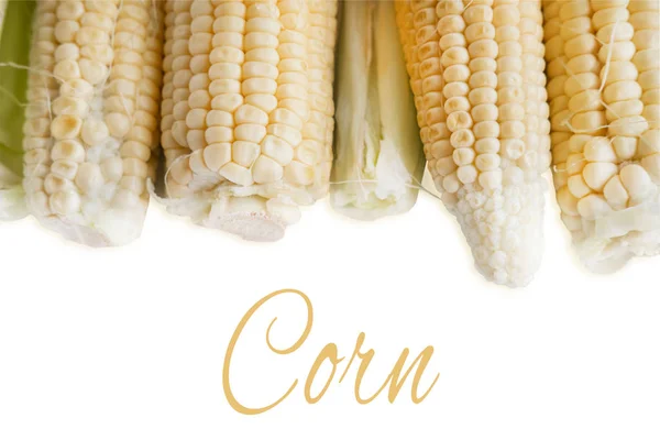Fresh pumped corn on a light wooden background. Frame for text advertising, promotions, blog post with fresh corn swings. Vintage corn photo with place for an inscription.