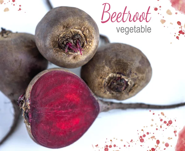 Genç pancar filizi fotoğrafları. Pancar diyarında büyüme. Pancar bahçede yetişen filiz ve yapraklar. Pancar yetiştiriciliği ile ilgili tarımsal çalışmalar