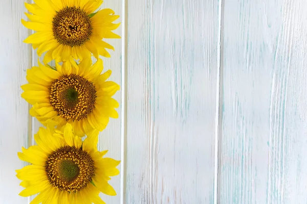 Greeting card design with sunflowers on light wooden background. Frame for text with flowers of sunflower. Photo sunflowers with the place for copywriting. View from above