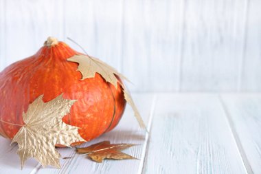 Sonbahar arka plan i kabak ve altın yaprakları beyaz ahşap arka plan üzerinde. Altın yapraklı metin için çerçeve tasarımı. Altın Sonbahar, Büyük Satış ve Kara Cuma