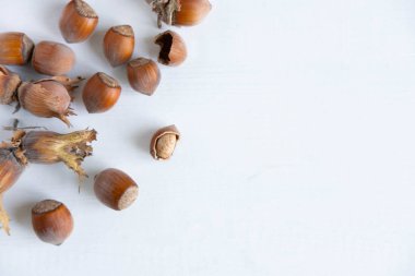 Hafif bir arka plan üzerinde Fındık. Sağlıklı fındık. Orman çalısının meyveleri, ela. Düz döşeme, üst görünüm.