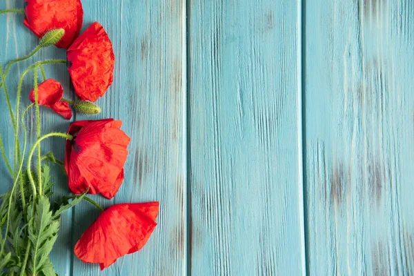 Flores Amapola Sobre Fondo Azul Madera Con Una Caja Regalo — Foto de Stock