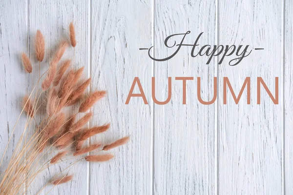 秋天快乐印有题词和干花的明信片。干枯的植物在轻质的木制背景上.柱状卡片 — 图库照片