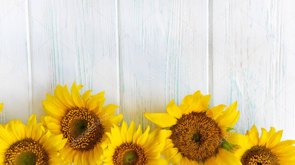 Postcard with flowers of a sunflower on a light wooden background. Frame for text for Thanksgiving, birthday. Background with autumn flowers for website, banner