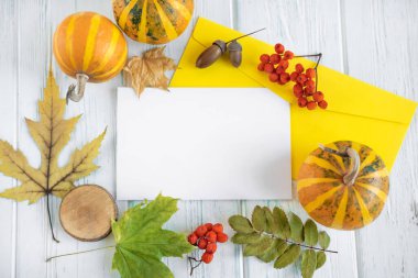 İçinde balkabağı, sonbahar yaprakları ve kızılcık çilekleri olan bir çerçeve. Sonbahar arkaplanı küçük balkabağı manzaralı. E- posta zarfı modeli