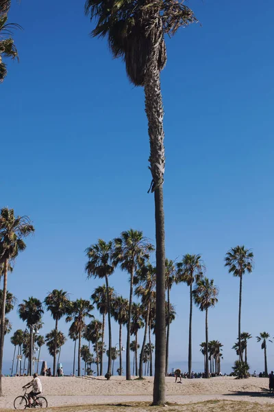 Venice Beach Kalifornien Usa — Stockfoto