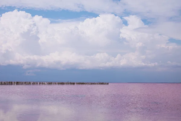 Sasyk-Sivash Gölü. Crimea