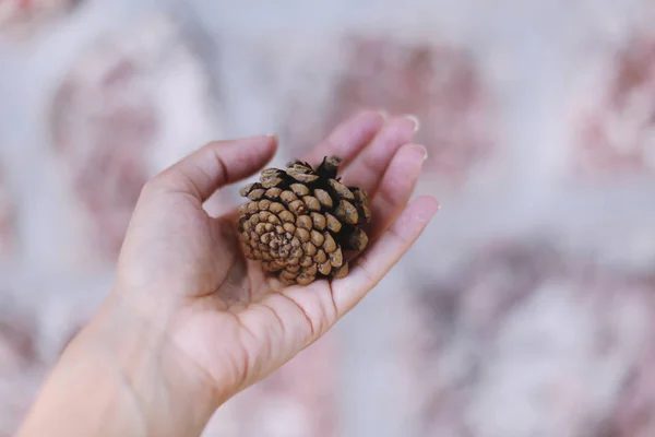 Yaz kartpostal. Budva, Karadağ