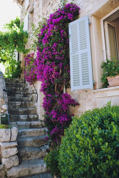 Saint-Paul-De-Vence, Fransa