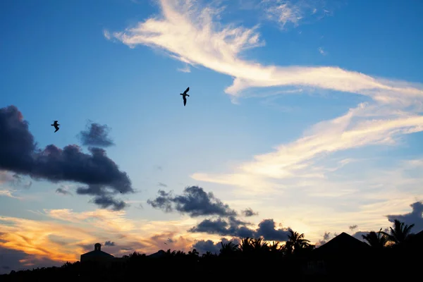Cancun gün batımı. Meksika