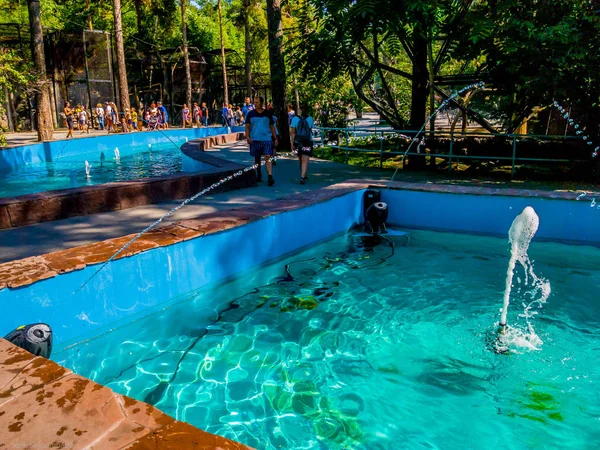 水の噴出 ノボシビルスク動物園 — ストック写真