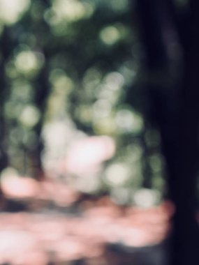 yaprak ve Su damlacıkları