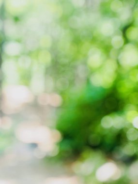 yaprak ve Su damlacıkları