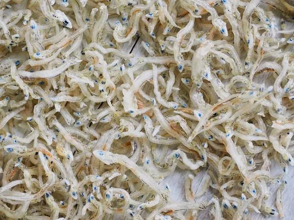 Asya Gıda Kurutulmuş hamsi