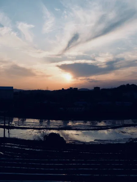 森と韓国清州市の公園の日没の風景 — ストック写真